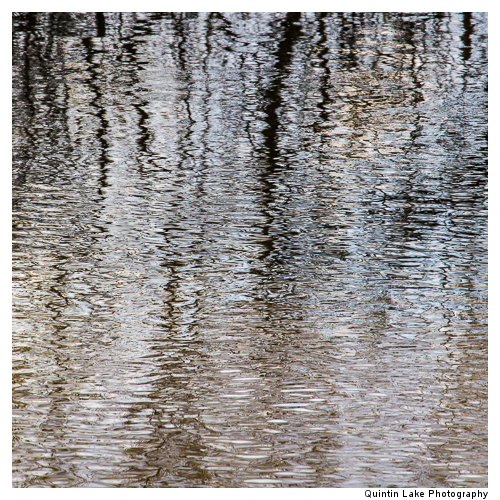 Severn Way between Tewksbury to Gloucester