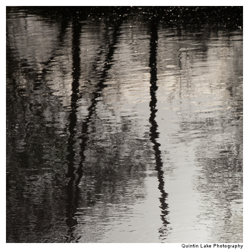 Severn Way between Tewksbury to Gloucester