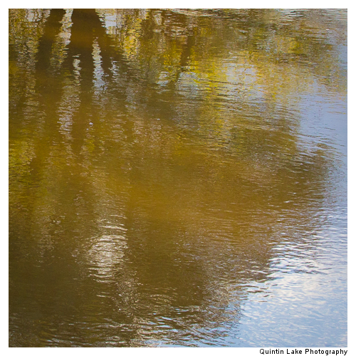 Severn Way between Tewksbury to Gloucester