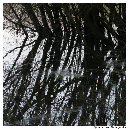 Severn Way between Tewksbury to Gloucester