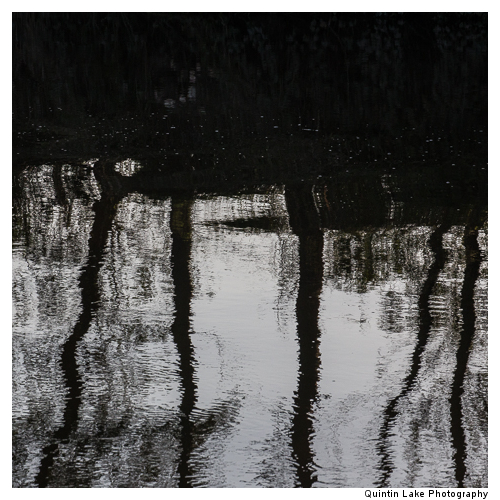 Severn Way between Tewksbury to Gloucester