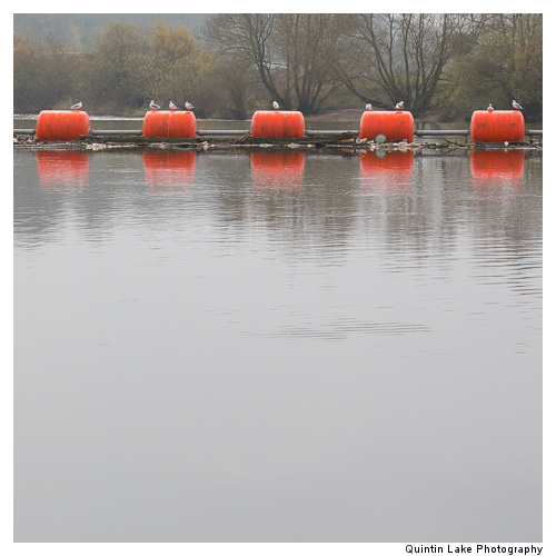 Weir between Upper Arley and Worcester