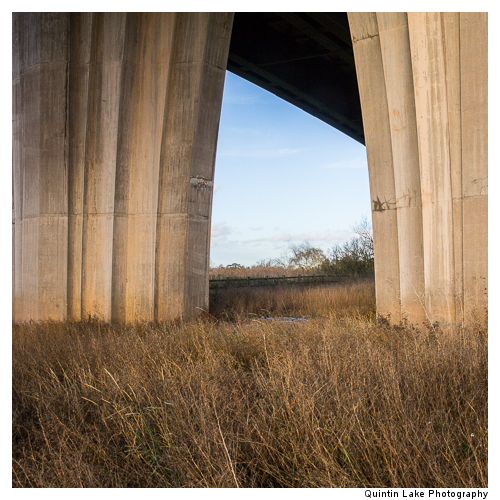 Severn Way between Worcester and Tewksbury