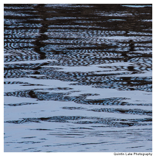 Severn Way between Worcester and Tewksbury