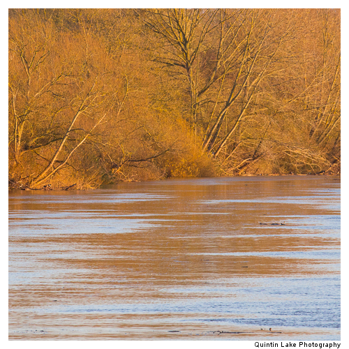 Severn Way between Worcester and Tewksbury