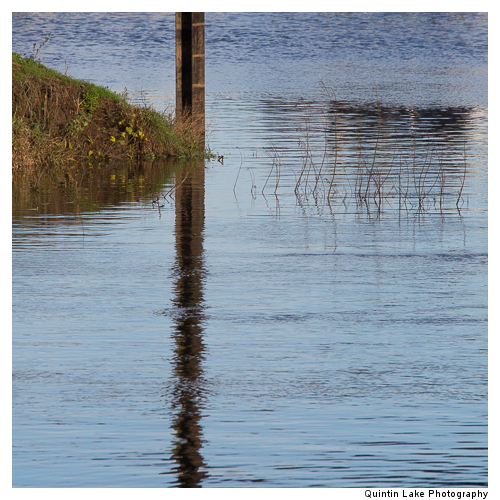 Severn Way between Worcester and Tewksbury