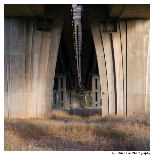 Severn Way between Worcester and Tewksbury