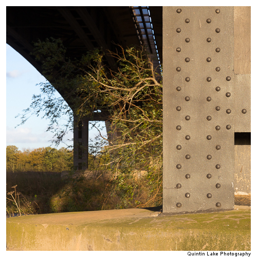 Severn Way between Worcester and Tewksbury