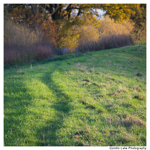Severn Way between Worcester and Tewksbury