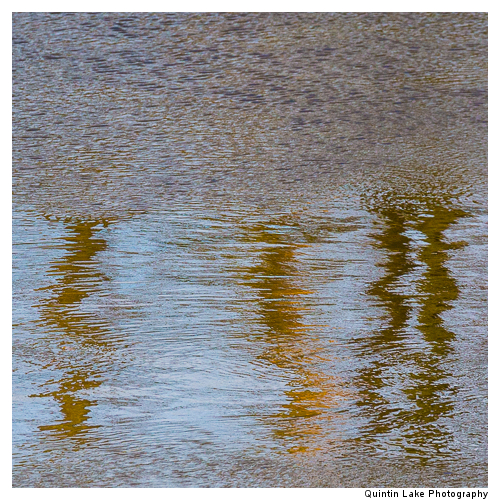 Severn Way between Worcester and Tewksbury