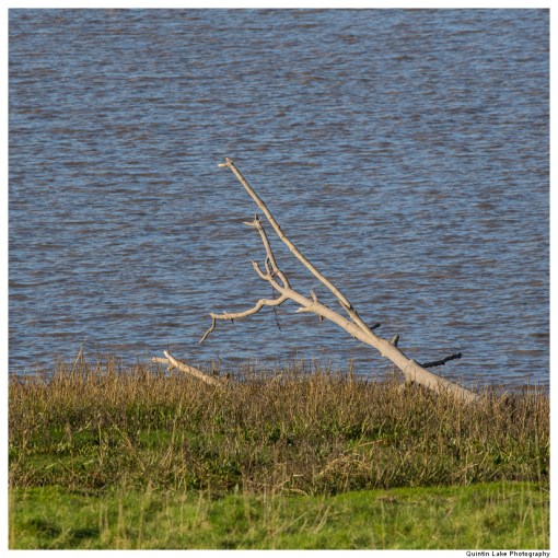 Severn Way. Cam & Dursley to Severn Bridge