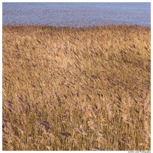 Severn Way. Cam & Dursley to Severn Bridge