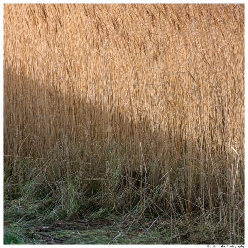 Severn Way. Cam & Dursley to Severn Bridge