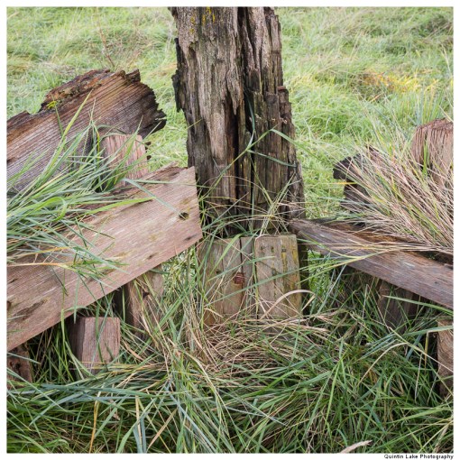Purton Hulks - Ships' Graveyard