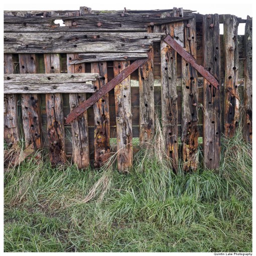 Purton Hulks - Ships' Graveyard