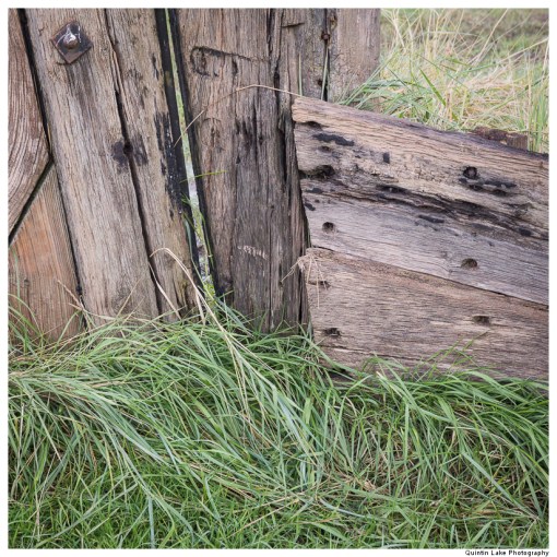Purton Hulks - Ships' Graveyard