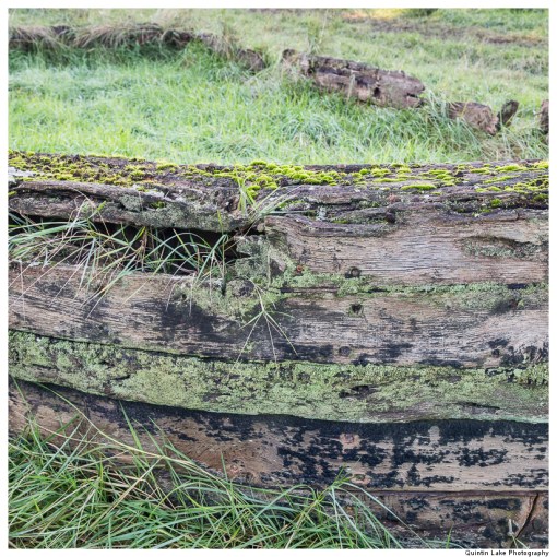 Purton Hulks - Ships' Graveyard