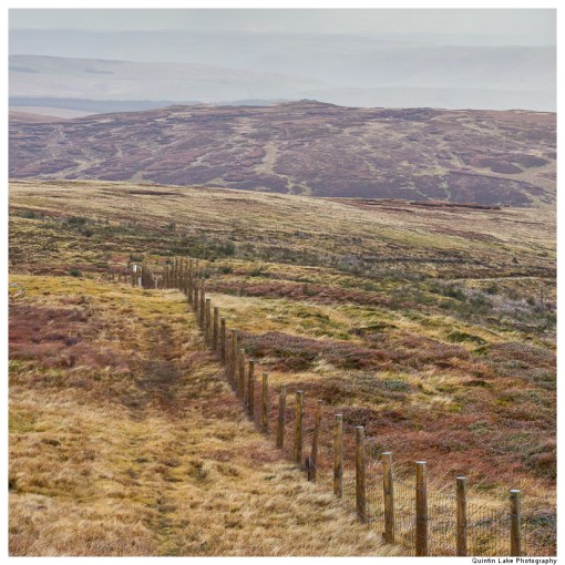 Source of the River Severn, Plymlimon, Powys, Wales
