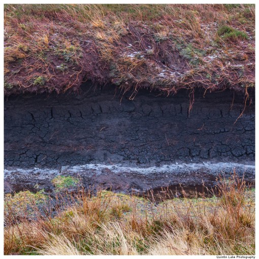 Source of the River Severn, Plymlimon, Powys, Wales