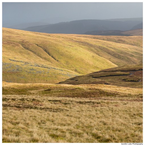 Source of the River Severn, Plymlimon, Powys, Wales