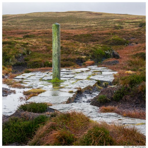 Source of the River Severn, Plymlimon, Powys, Wales