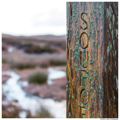Source of the River Severn, Plymlimon, Powys, Wales