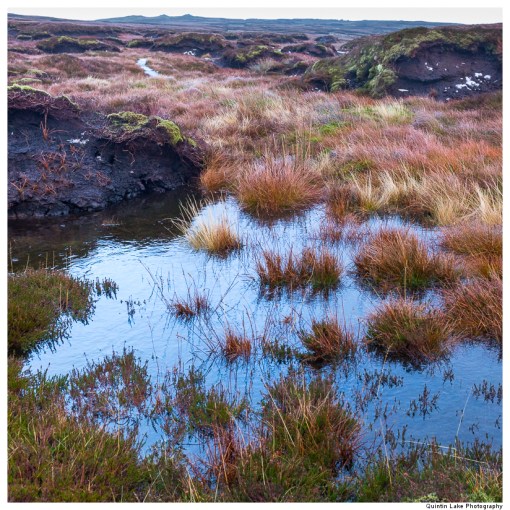 Source of the River Severn, Plymlimon, Powys, Wales