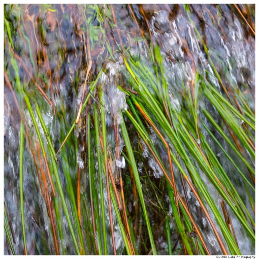 Source of the River Severn, Plymlimon, Powys, Wales