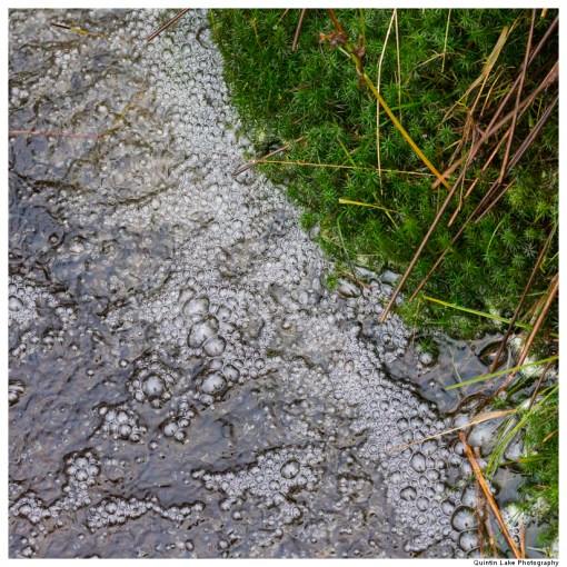 Source of the River Severn, Plymlimon, Powys, Wales
