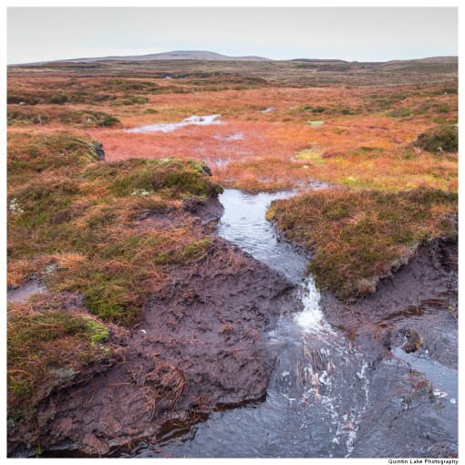 Source of the River Severn, Plymlimon, Powys, Wales