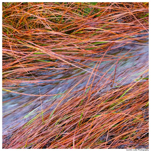 Source of the River Severn, Plymlimon, Powys, Wales