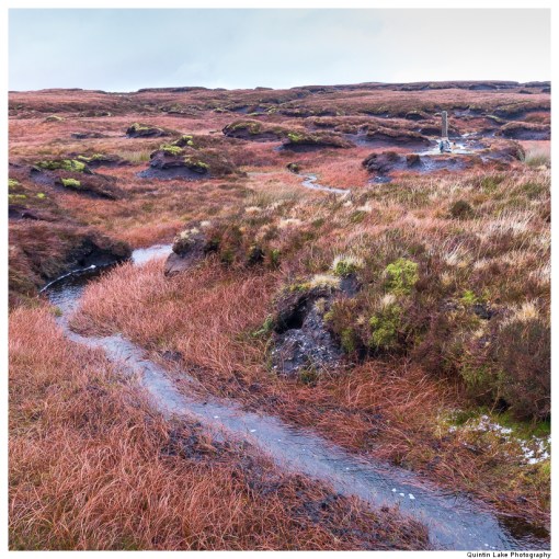 Source of the River Severn, Plymlimon, Powys, Wales
