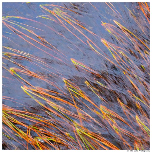 Source of the River Severn, Plymlimon, Powys, Wales