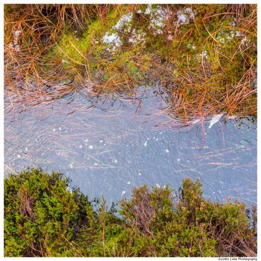 Source of the River Severn, Plymlimon, Powys, Wales
