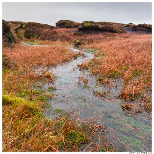 Source of the River Severn, Plymlimon, Powys, Wales