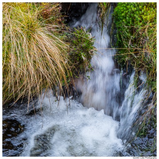 Source of the River Severn, Plymlimon, Powys, Wales