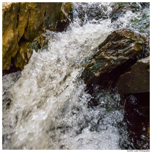 Source of the River Severn, Plymlimon, Powys, Wales