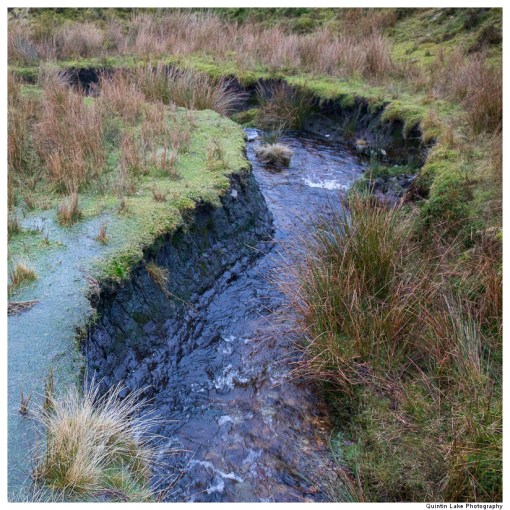 Source of the River Severn, Plymlimon, Powys, Wales