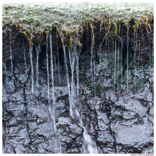 Source of the River Severn, Plymlimon, Powys, Wales