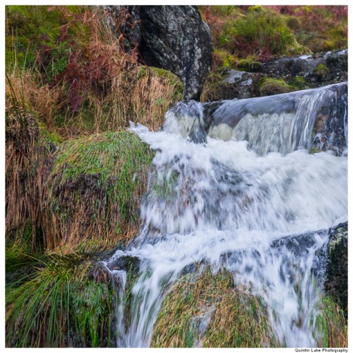 Source of the River Severn, Plymlimon, Powys, Wales