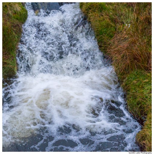 Source of the River Severn, Plymlimon, Powys, Wales