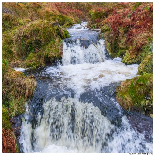 Source of the River Severn, Plymlimon, Powys, Wales
