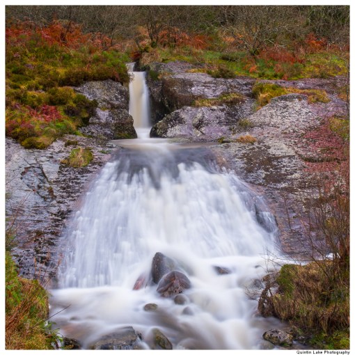 Source of the River Severn, Plymlimon, Powys, Wales