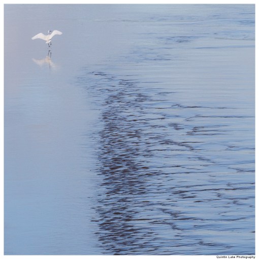 River Severn between Upper Framilode and Cam & Dursley