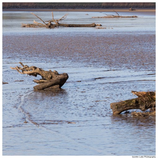 River Severn between Upper Framilode and Cam & Dursley