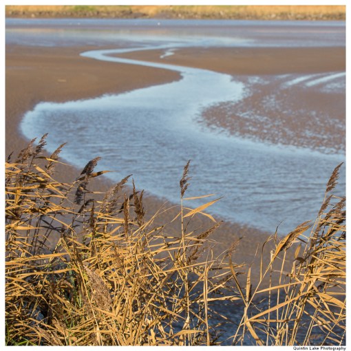 River Severn between Upper Framilode and Cam & Dursley