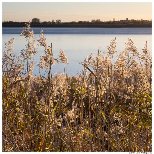 River Severn between Upper Framilode and Cam & Dursley