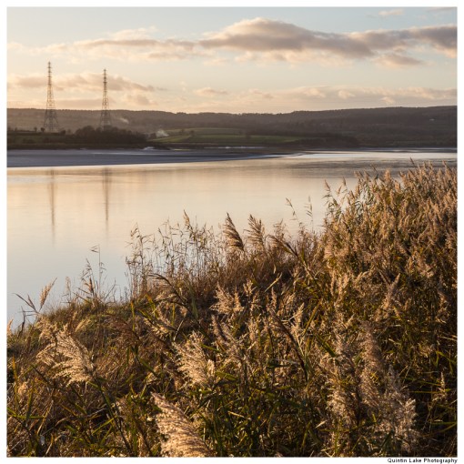 River Severn between Upper Framilode and Cam & Dursley