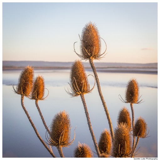 River Severn between Upper Framilode and Cam & Dursley