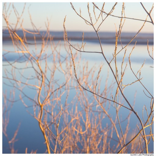 River Severn between Upper Framilode and Cam & Dursley